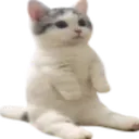 CatSit