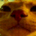 VibeCat