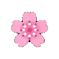 flowerspin