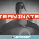 terminatedeverseer custom emote | The phantasmics