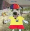 happydog