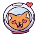 spacecatlove