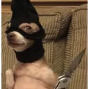 Ara_Panel_Lanhwi_Mok_HHHHHHH