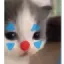 bxbz_cat_clown