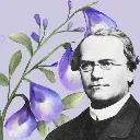 mendel