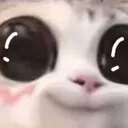 cute