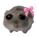 LD_Pookie_hamster