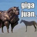 gigajuan