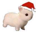 bnuuychristmas
