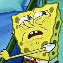 sponge