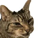 jacksmile