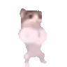 catdancing