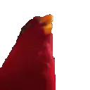 Chirp Chirp