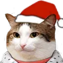 catmas