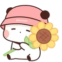 KarmaFlowerSit