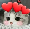 KarmaCatBlush