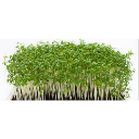 seba custom emote - Cukierniczka