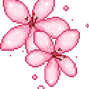 77766sakura