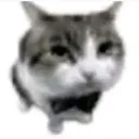 ok