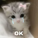 cat_ok