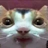 guhcat