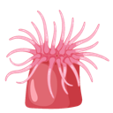 r_anemone Discord Emoji - B L U E H A V E N