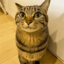 yo Discord sticker - Jogando mundo a fora