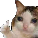 :cryimfine: