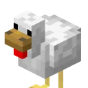 cock