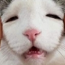 a_meosuysup Discord emoji