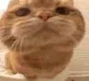 YouThere