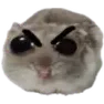 angri
