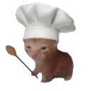 chef_cat
