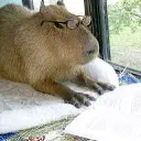 capybara_smart