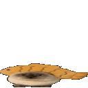 518389fishcatgif