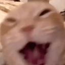 emoji_81 custom emote from Invictus