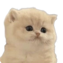 emoji_16 custom emote from Arvelynx ™ | Social SFW