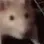 RATJAM