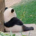 emoji_88 Discord Emoji | NV