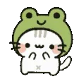 froggykitty