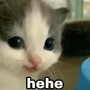 hehe