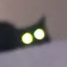 stare_cat stare_cat