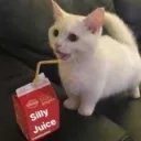 silly_juice