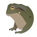 toad