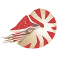 nautilis