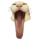nellaphonk