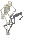 Skeleton Skeleton