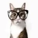 nerd