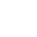 real_white_crown