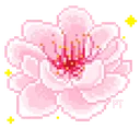 pink_flower